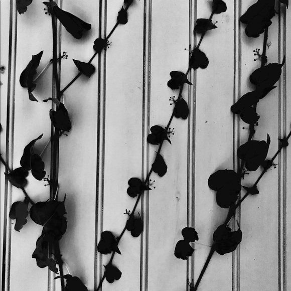 Meet your Posher, Sarah - Picture 1 of 1